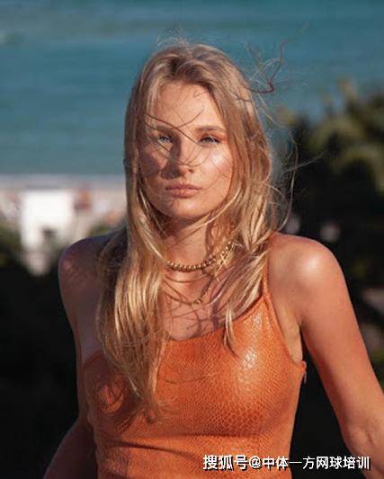 续两只小鸟 续两只小鸟