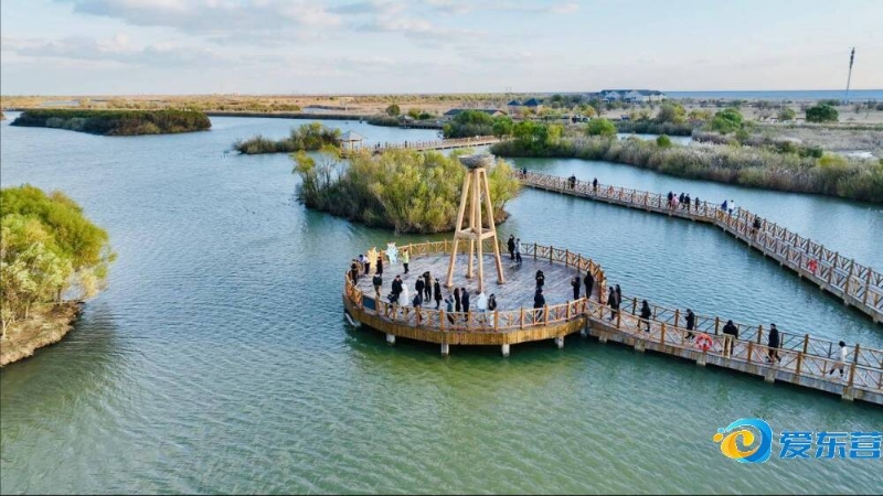 赛事本身 赛事本身